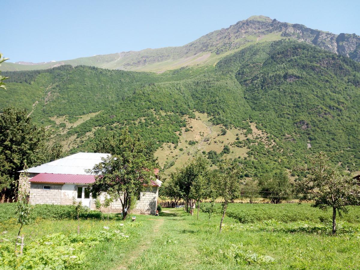 Guesthouse Mamuka Zhabesh Zhabeshi المظهر الخارجي الصورة